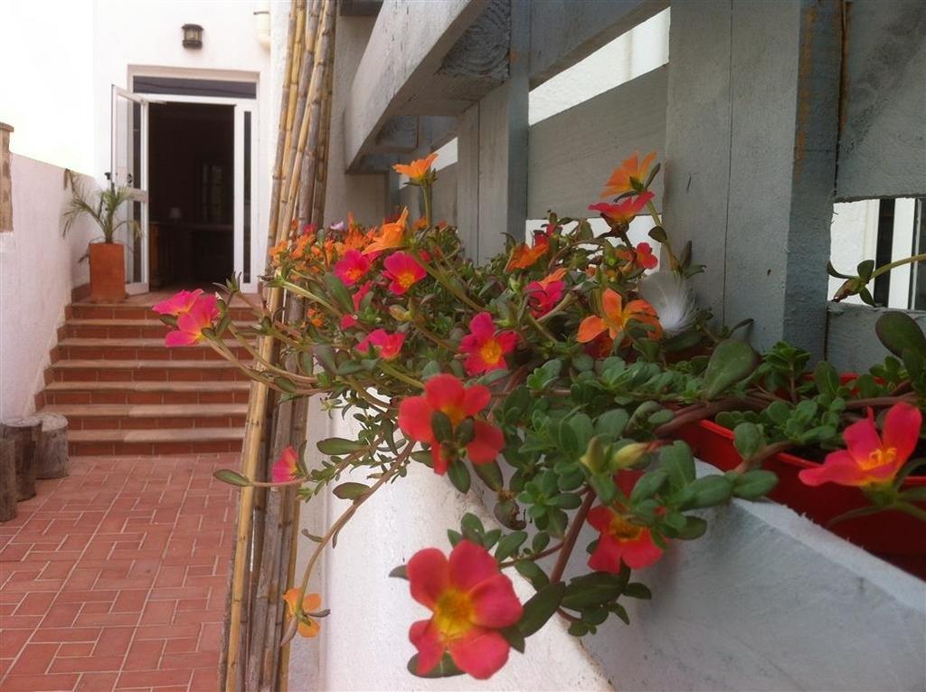 Apartamentos Villa Nadine Playa de Palma  Exterior photo